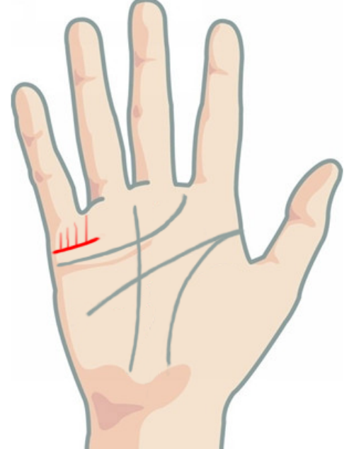 Ngược lại, đường chỉ tay này mờ nhạt là tướng của người sinh nhiều con gái.