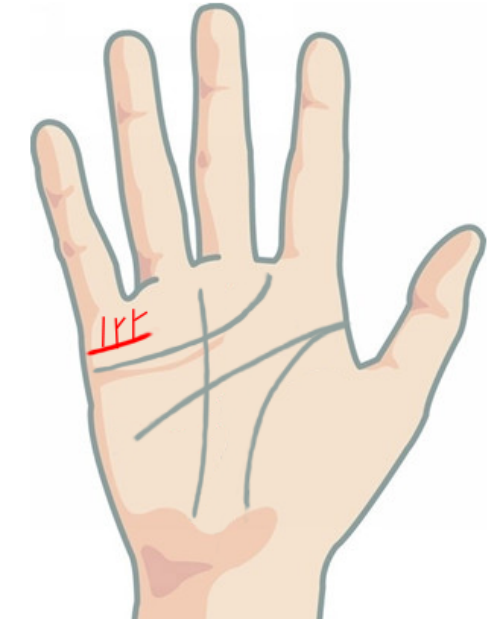 Với phụ nữ, nếu sở hữu đường chỉ tay con cái chia đôi ở cuối đường có nhiều khả năng sinh đôi.