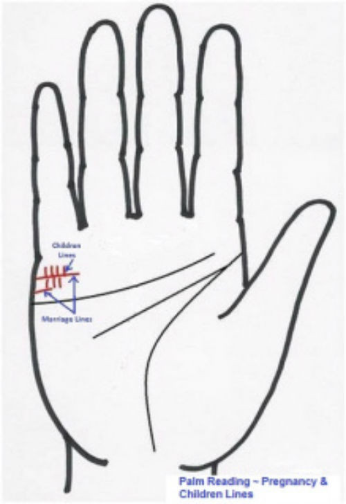 Với đàn ông, những người sở hữu nhiều đường chỉ tay con cái là dấu hiệu các con của họ luôn khỏe mạnh.