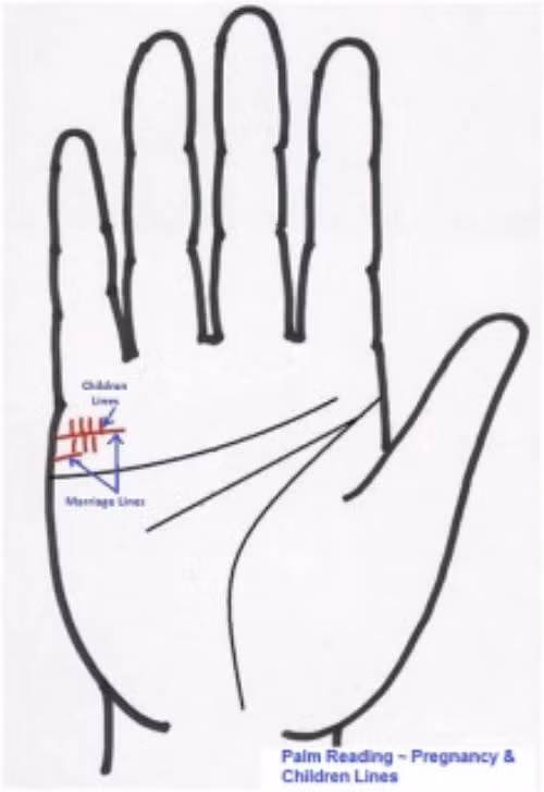 Với đàn ông, những người sở hữu nhiều đường chỉ tay con cái là dấu hiệu các con của họ luôn khỏe mạnh.