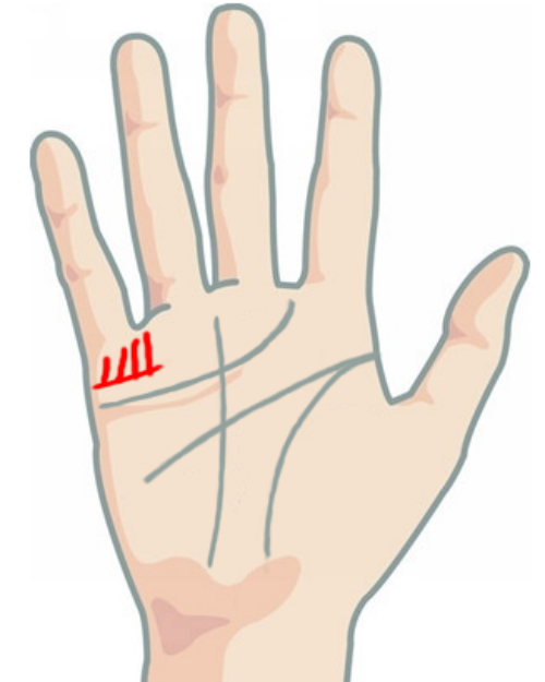 Đường con cái sâu và đậm nét là dấu hiệu sinh nhiều con trai.