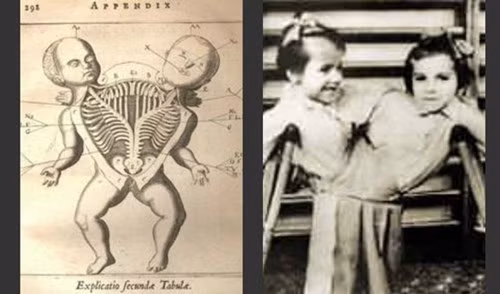 Tại trại tập trung Auschwitz, hàng ngàn tù nhân được khử trùng bằng phóng xạ. Thêm vào đó, nhiều trẻ em bị đưa ra làm vật thí nghiệm rùng rợn của các bác sĩ đồ tề Đức quốc xã như thí nghiệm trên các cặp sinh đôi.