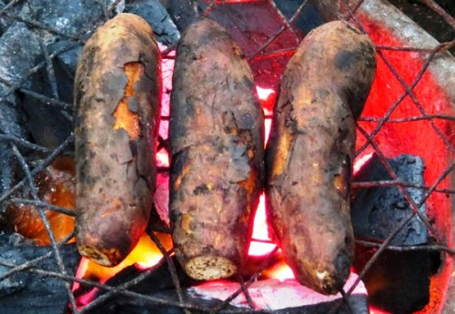 Muon tang cuong mien dich trong mua dong, nen an gi?-Hinh-2