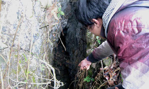 Bi an hang dong chon giau 70 thung vang o Cao Bang