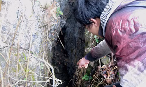 Bi an hang dong chon giau 70 thung vang o Cao Bang