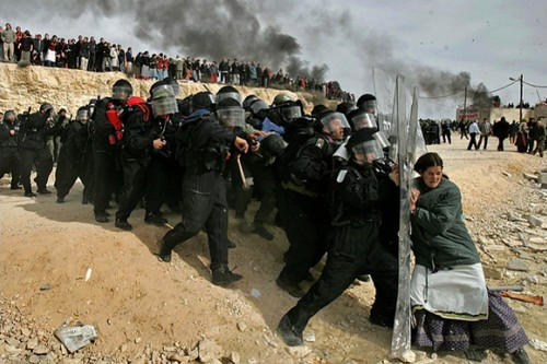 Nhiếp ảnh gia Israel Oded Balilty nổi tiếng với bức ảnh người định cư Ynet Nili (16 tuổi) chống trả quyết liệt hơn chục cảnh sát. Hành động này xuất phát từ việc chính quyền Israel yêu cầu những người định cư trái phép rời khỏi nhà của họ vào năm 2006.