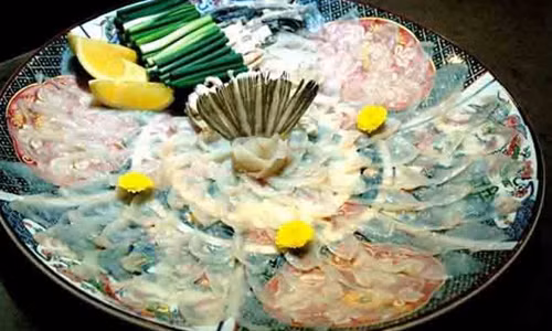 Gỏi cá nóc Fugu có giá 100 USD/suất. Đây là món ăn đắt đỏ khét tiếng của Nhật Bản.