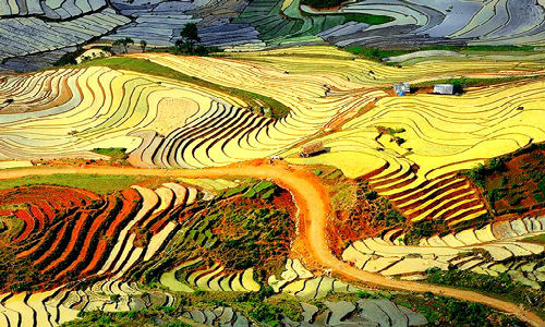 Trang The Richest xếp Lào Cai của Việt Nam vào trong danh sách 10 điểm đến đẹp nhất thế giới. Lào Cai được miêu tả thuộc miền núi phía Bắc Việt Nam, là nơi có những thửa ruộng bậc thang tuyệt đẹp. Do địa hình không phù hợp để trồng lúa nước, người dân nơi đây đã sáng tạo ra ruộng bậc thang để trồng lúa trên sườn đồi, núi. ...
