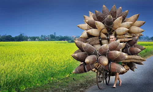 Trong cuộc thi Nhiếp ảnh gia du lịch của năm 2015 (TPOTY), tác phẩm chụp một lão nông đang dắt xe chở đó tre của tác giả Lý Hoàng Long được đánh giá cao ở hạng mục Khuôn mặt, con người, gặp gỡ. Bức ảnh đẹp Việt Nam nhận được nhiều khen ngợi của ban giám khảo. TPOTY thu hút sự tham gia của nhiều tác giả đến từ 22 quốc gia.