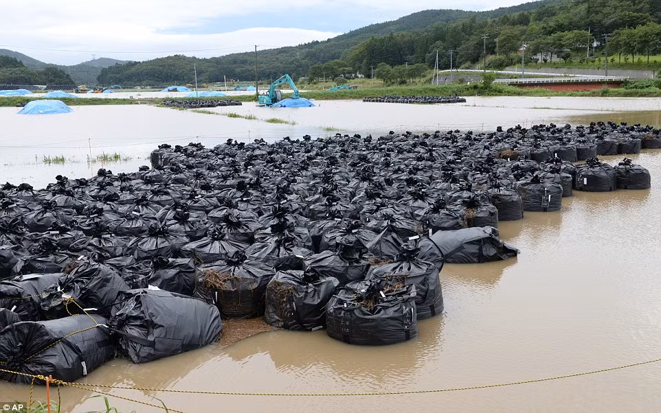 Những túi đất màu đen chứa chất phóng xạ tại khu vực ngập nước ở Iitate, tỉnh Fukushima. Khu vực này nằm khá gần các nhà máy điện hạt nhân. Khoảng 228.863 người phải sơ tán khỏi nơi ở, xung quanh các nhà máy điện hạt nhân tại Fukushima sau khi xảy ra động đất, sóng thần ngày 11/3/2011 kéo theo khủng hoảng hạt nhân tồi tệ.