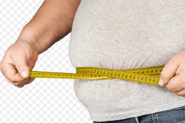 Ly do khien ban chi hit tho cung beo