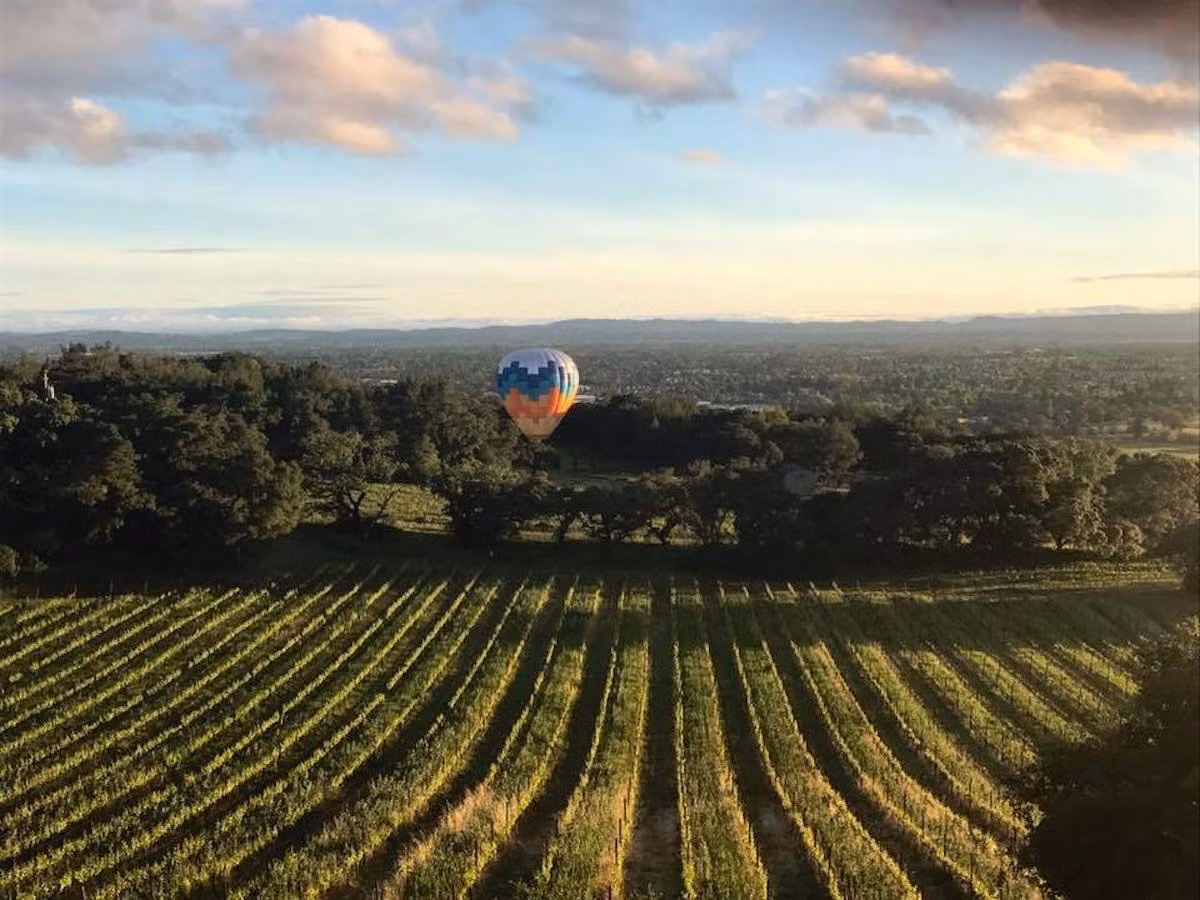 Khu Paradise Ridge vốn là một địa điểm tổ chức đám cưới nổi tiếng với khung cảnh tuyệt đẹp. Ảnh: BI.