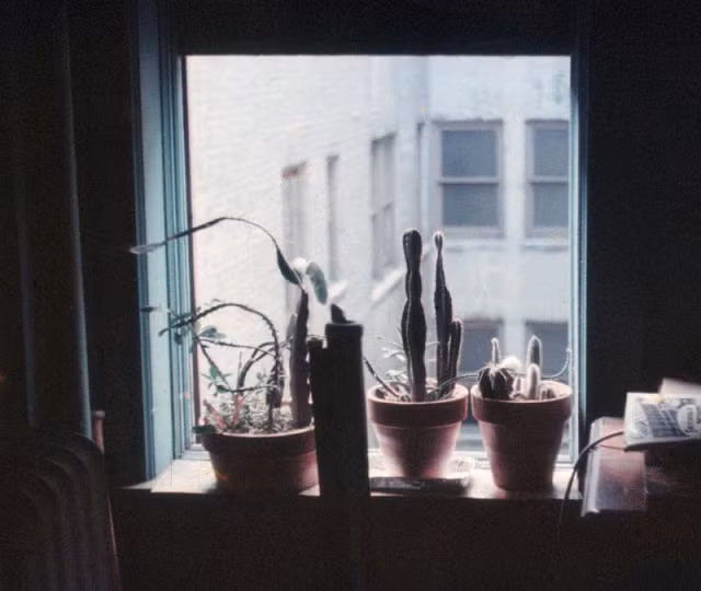 Muon mau cuoc song o New York cuoi thap nien 1950-Hinh-3