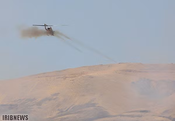 Anh: Iraq-Iran ram ro tap tran quan su chung-Hinh-7