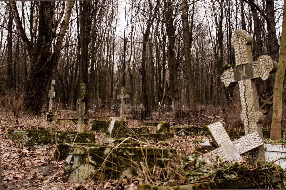 Smolenskya là nghĩa trang lâu đời nhất ở thành phố Saint Petersburg. Ảnh: Sputnik.