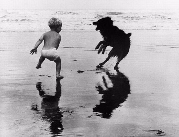Em bé nô đùa với chú chó trên bãi biển. Ảnh: ER.