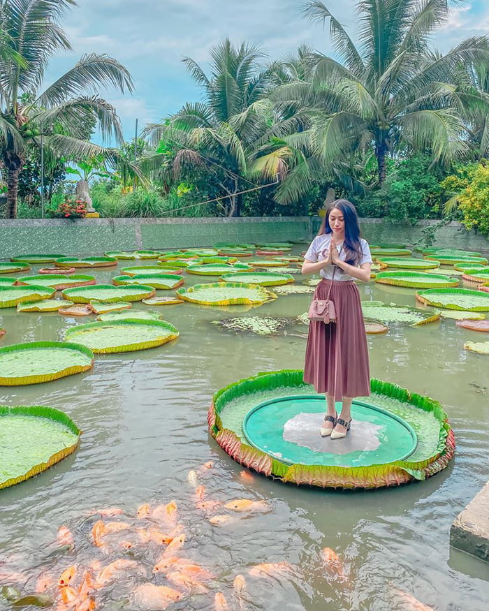 Gọi sen vua là bá chủ sông Amazon vì sức sống mãnh liệt của loại sen này. Lá của sen vua nở rộng hơn 20cm mỗi ngày. Lá sen phát triển tới đâu sẽ che phủ hoàn toàn ánh sáng của các loại thực vật khác khiến chúng không thể sống được.