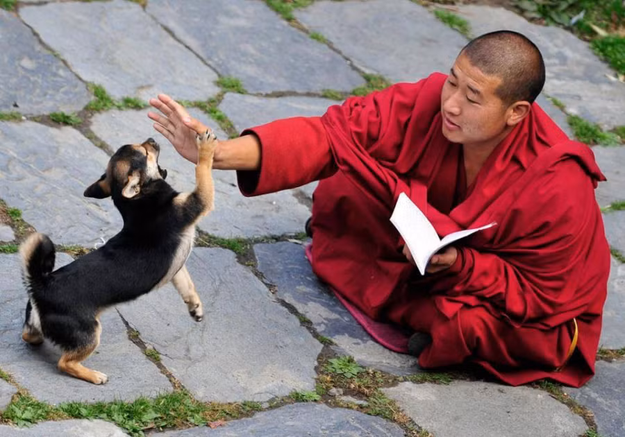 9 dieu sau ai cung can biet de duoc Than Phat do tri, van su nhu y