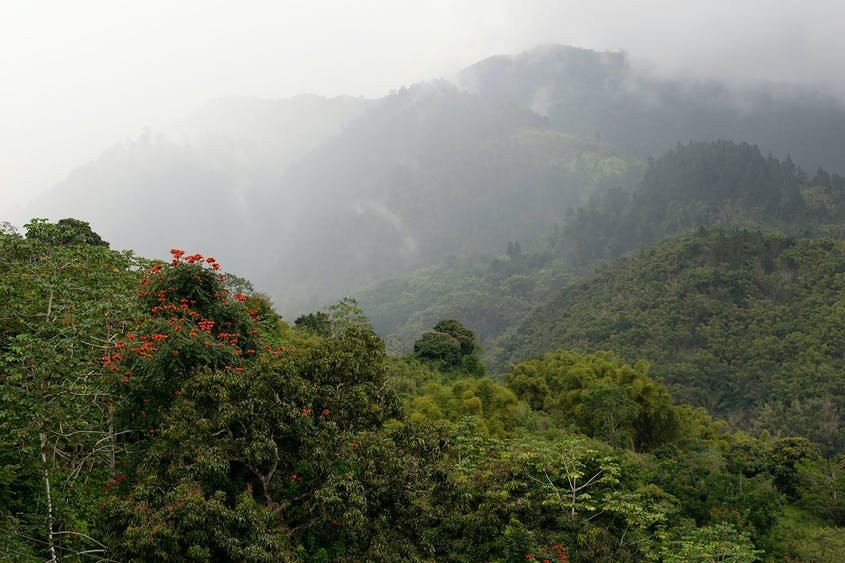 1. Dãy núi Blue núi John Crow (Jamaica). Những người trồng cà phê liên kết với đảo Caribe của núi Blue này là nguồn cung cấp hạt cà phê hiếm có và đắt tiền. Nhưng đối với UNESCO, những dãy núi này mang hình thái là một công viên quốc gia, đáng chú ý nhất đó là sự đa dạng về sinh học (hơn 1.200 loài thực vật có hoa), loài ếch và chim đang có nguy cơ tuyệt chủng. Cảnh quan hiểm trở, gồ ghề đã cung cấp cho những người lánh nạn, Maroons có một nơi thích hợp để ẩn nấp và phát triển một nên văn hóa chặt chẽ gắn với cuộc sống miền núi. Du khách có thể đi tham quan nhà máy sản xuất cà phê và tham gia một chuyến leo núi cùng với hướng dẫn viên.