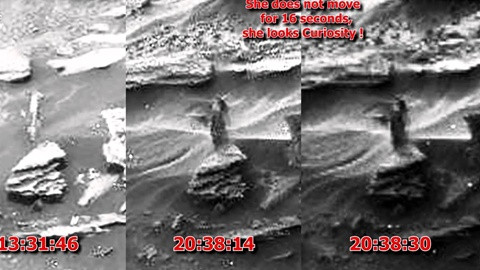 Tim thay dong vat la tren Sao Hoa?-Hinh-2