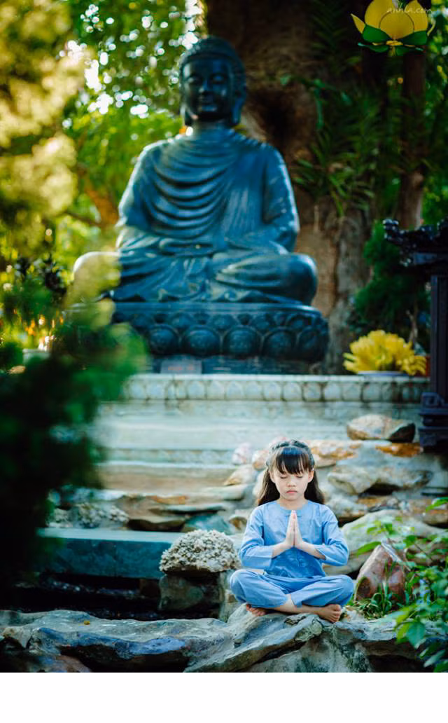 Nhiều thành viên, dân mạng hỏi thăm Lã Anh về bối cảnh chụp, xin thông tin về cô mẫu nhí và tích cực bình luận, nhận xét về góc hình, màu sắc trong mỗi bức ảnh.