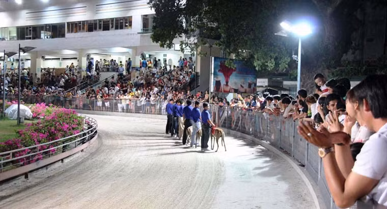 Hàng nghìn khán giả thích thú khi được xem những "vận động viên" 2 chân tham gia tranh tài trên sân vận động.