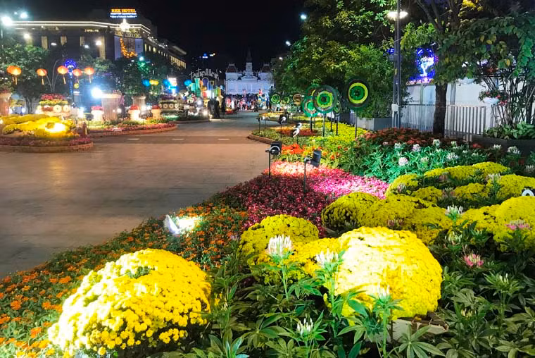 Trăm hoa khoe sắc trên phố Nguyễn Huệ.