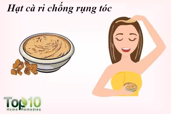 Hạt cỏ cà ri: Cỏ cà ri chứa hormone giúp tái tạo nang tóc. Chúng cũng chứa các protein và axit nicotinic kích thích sự phát triển của tóc. Hạt giống cà ri cũng có đặc tính kháng khuẩn, giúp chữa trị gàu, một nguyên nhân phổ biến gây rụng tóc.
