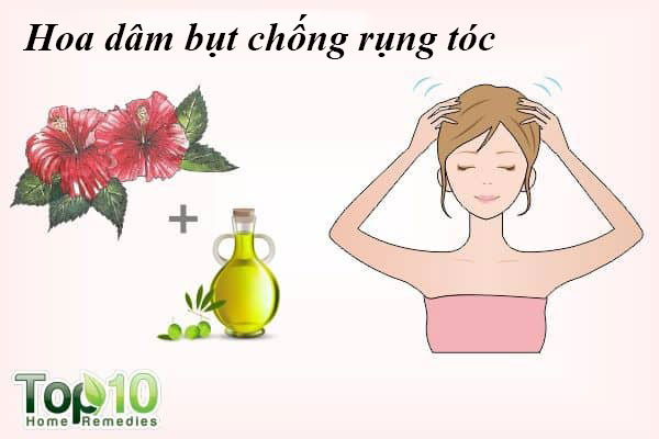 Hoa dâm bụt nuôi dưỡng tóc và kiểm soát rụng tóc. Giàu vitamin A và C cũng như các axit amin, dâm bụt có thể chống lại rụng tóc và giúp tăng trưởng tóc. Một nghiên cứu năm 2003 được công bố trên tạp chí Ethnopharmacology thấy rằng chiết xuất lá dâm bụt, khi so sánh với chiết xuất hoa của nó, thể hiện hiệu quả tăng trưởng tóc tốt hơn.