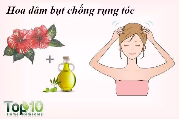 Hoa dâm bụt nuôi dưỡng tóc và kiểm soát rụng tóc. Giàu vitamin A và C cũng như các axit amin, dâm bụt có thể chống lại rụng tóc và giúp tăng trưởng tóc. Một nghiên cứu năm 2003 được công bố trên tạp chí Ethnopharmacology thấy rằng chiết xuất lá dâm bụt, khi so sánh với chiết xuất hoa của nó, thể hiện hiệu quả tăng trưởng tóc tốt hơn.