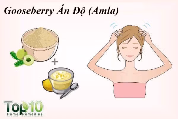Gooseberry Ấn Độ (Amla) là một phương thuốc phổ biến được sử dụng để chống rụng tóc. Nó giúp tăng cường các nang tóc, kích thích sự tăng trưởng tóc và ngăn ngừa tóc gãy rụng, chủ yếu là do các chất chống oxy hóa và vitamin C có trong đó. Vitamin C trong lô hội cũng giúp tái tạo collagen rất quan trọng cho sự phát triển của tóc và hỗ trợ sự hấp thu sắt, nhờ đó giữ cho mái tóc của bạn khoẻ mạnh.