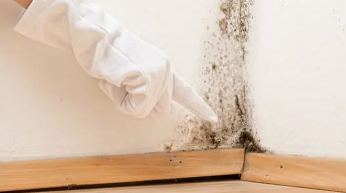 5 khu vuc trong nha can kiem tra thuong xuyen de tranh nam moc