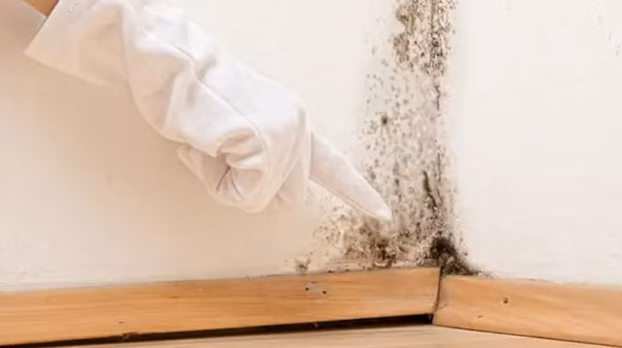 5 khu vuc trong nha can kiem tra thuong xuyen de tranh nam moc