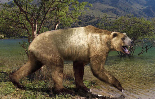 Phát hiện gấu đóng băng suốt 3.500 năm, lộ bí mật không tưởng Phat hien gau dong bang suot 3.500 nam, lo bi mat khong tuong