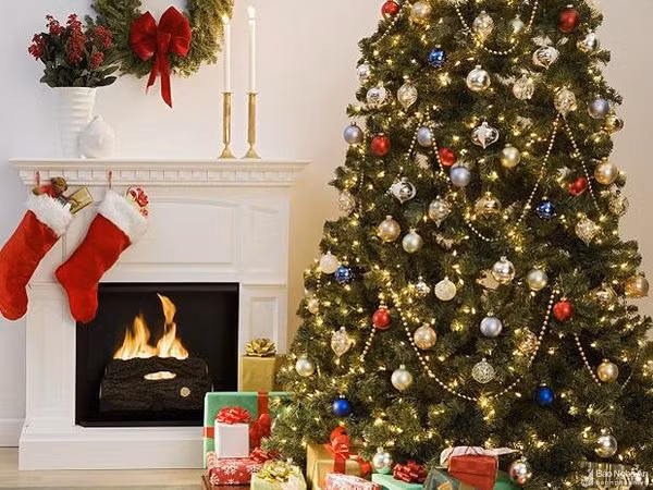 Cây thông Noel được trồng tự nhiên có thể tạo cho mình một hệ sinh thái riêng, cung cấp môi trường sống cho động vật hoang dã và còn góp phần không nhỏ vào quá trình thụ phấn ở thực vật. Một cây thông Giáng sinh trung bình chứa khoảng 30.000 con bọ và côn trùng.