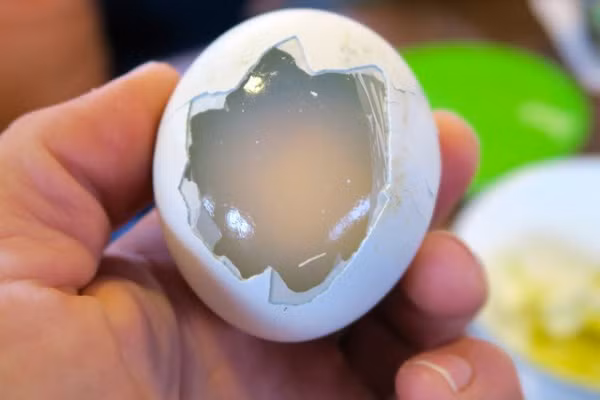 Về hương vị, những người từng ăn thử miêu tả trứng chim cánh cụt có vị hơi tanh khi mới ăn. Hơn nữa, chúng chứa rất nhiều protein và vitamin, giúp người dân nơi đây có nguồn thực phẩm dồi dào để chống chọi với cái rét quanh năm.