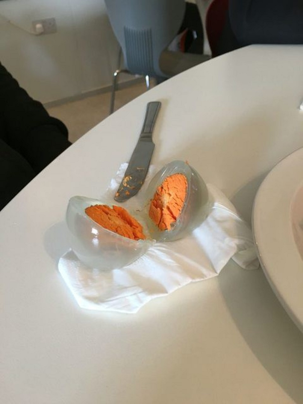 Sau khi tìm hiểu được biết đây không phải là sản phẩm của photoshop mà đây là trứng của loài chim cánh cụt.