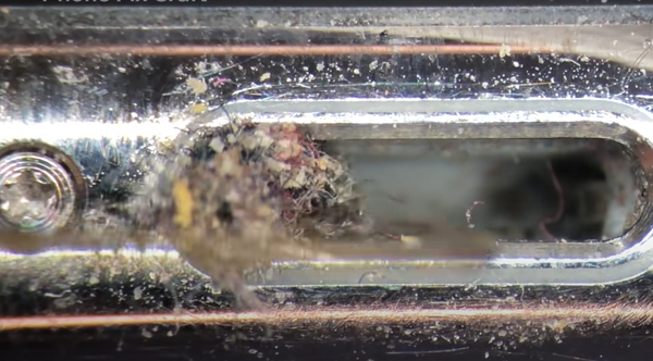 Điều khiến người xem cảm thấy hãi hùng nhất là độ bẩn của phần cổng sạc chiếc iPhone này. Qua kính hiển vi, có thể thấy rõ nó bị phủ dày đặc bởi chất bẩn, bụi bặm và những sợi li ti - những thứ mà mắt thường khó quan sát được.