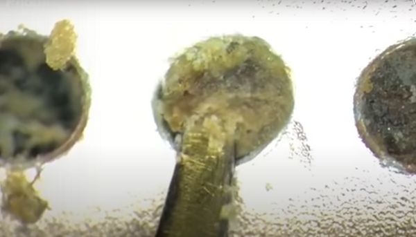 Chưa hết, phần loa của chiếc điện thoại cũng bị bám đầy bụi bẩn.