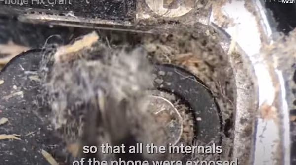 Độ bẩn kinh dị của chiếc điện thoại chúng ta vẫn sử dụng hàng ngày khiến người xem choáng váng.