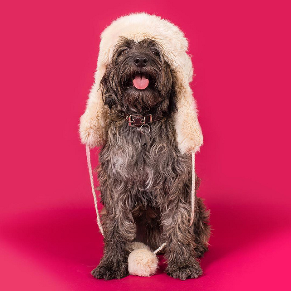 Từ khi có Héc-quyn, cô thấy cuộc sống của mình ý nghĩa và hạnh phúc hơn rất nhiều.