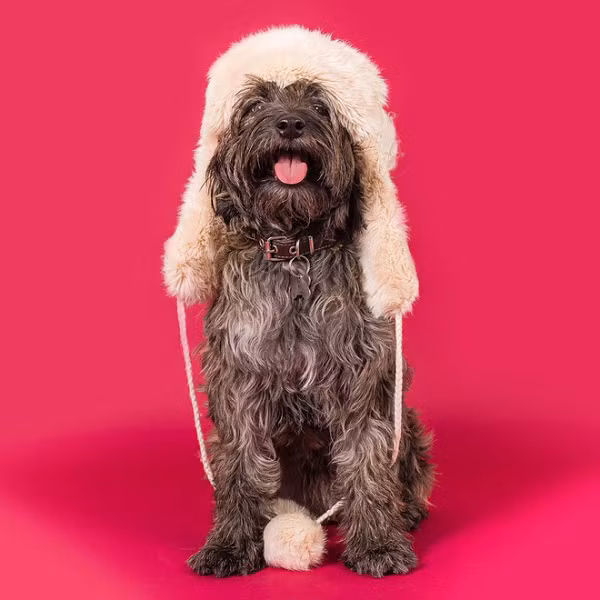 Từ khi có Héc-quyn, cô thấy cuộc sống của mình ý nghĩa và hạnh phúc hơn rất nhiều.