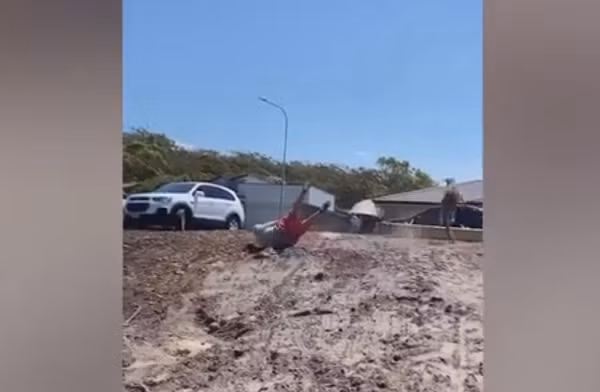 Cảnh tượng được các thành viên trong gia đình Robinson ghi lại từ xa. Theo họ, con Kangaroo lảng vảng trong khoảng sân trước nhà vài lần và đào hố. Khi vụ tấn công xảy ra, Robinson đang cố gắng bảo vệ các con trước con vật hung dữ.