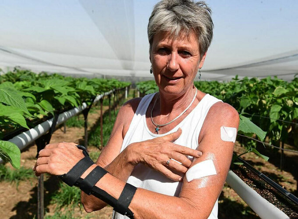 Lúc này, Patsy không kiềm chế được, lập tức lên tiếng xua đuổi nó. Ấy vậy mà con Kangaroo ngang ngược chẳng những không hoảng sợ mà còn bình tĩnh đứng dậy, quay lại tấn công cô.