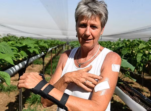 Lúc này, Patsy không kiềm chế được, lập tức lên tiếng xua đuổi nó. Ấy vậy mà con Kangaroo ngang ngược chẳng những không hoảng sợ mà còn bình tĩnh đứng dậy, quay lại tấn công cô.