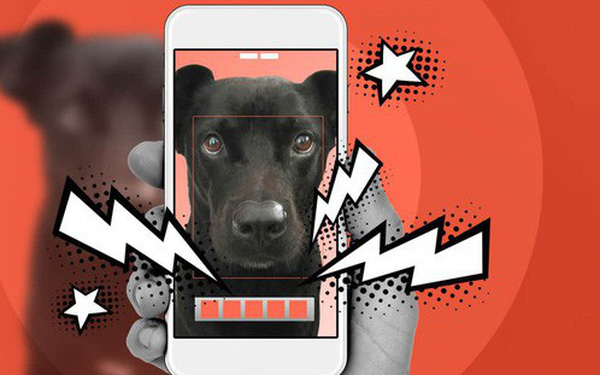 Ngoài việc tìm kiếm thú cưng bị lạc, công nghệ này còn có thể được các nhà chức trách sử dụng để giám sát việc "nuôi chó không văn minh". Đây là cụm từ được chính quyền Trung Quốc sử dụng để nói về những hành động như dắt chó không rọ mõm, không hốt phân chó khi chúng đi bậy…