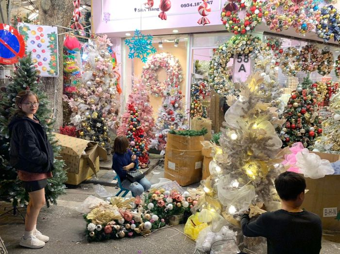 Khác với mọi năm, cây thông mang màu nền xanh lá cơ bản thì năm nay có thêm những cây thông Noel được trang trí và thiết kế với nhiều màu sắc độc đáo như: Thông trắng, thông hồng, thông bạch kim...