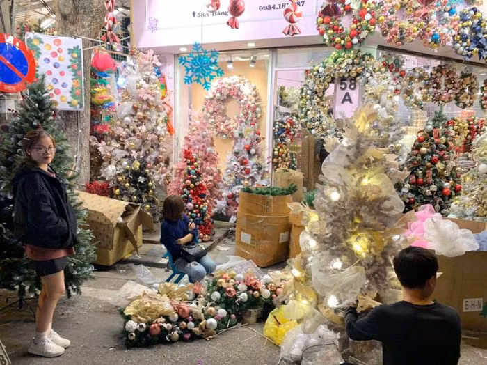 Khác với mọi năm, cây thông mang màu nền xanh lá cơ bản thì năm nay có thêm những cây thông Noel được trang trí và thiết kế với nhiều màu sắc độc đáo như: Thông trắng, thông hồng, thông bạch kim...