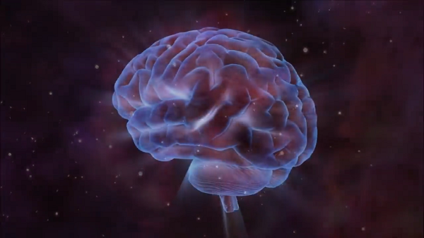 Các thiên hà (và các tế bào thần kinh) kết nối với nhau thông qua một mạng lưới phức tạp, trải dọc theo các mạch dài đan chéo nhau và những mối nối/nút liên kết. Những cấu trúc dạng nút lan tỏa như thế này đều xuất hiện ở cả vũ trụ và bộ não người.