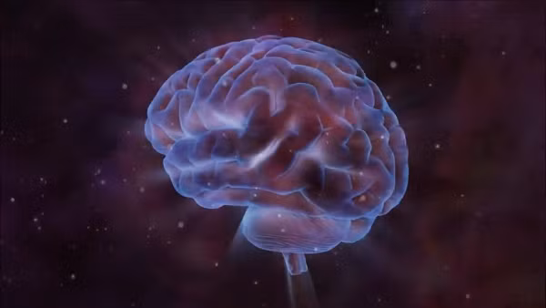 Các thiên hà (và các tế bào thần kinh) kết nối với nhau thông qua một mạng lưới phức tạp, trải dọc theo các mạch dài đan chéo nhau và những mối nối/nút liên kết. Những cấu trúc dạng nút lan tỏa như thế này đều xuất hiện ở cả vũ trụ và bộ não người.